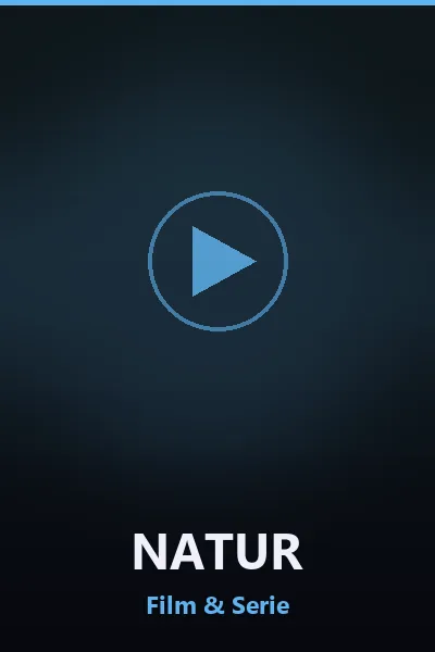 Animerad barnfilm i IPTV-biblioteket